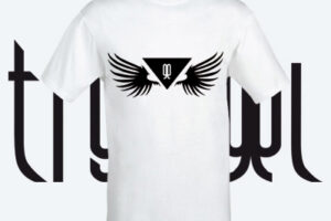 Try 2 Fly Away